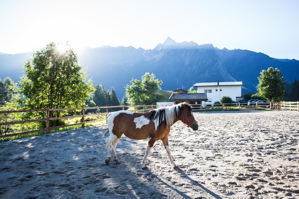 Ferienwohnungen Oetztal เซาเทนส์ ภายนอก รูปภาพ