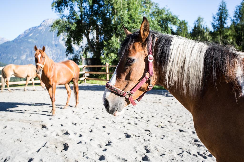 Ferienwohnungen Oetztal เซาเทนส์ ภายนอก รูปภาพ