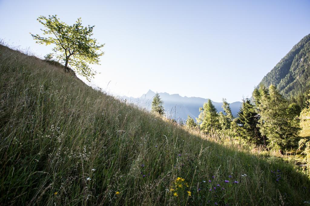 Ferienwohnungen Oetztal เซาเทนส์ ภายนอก รูปภาพ
